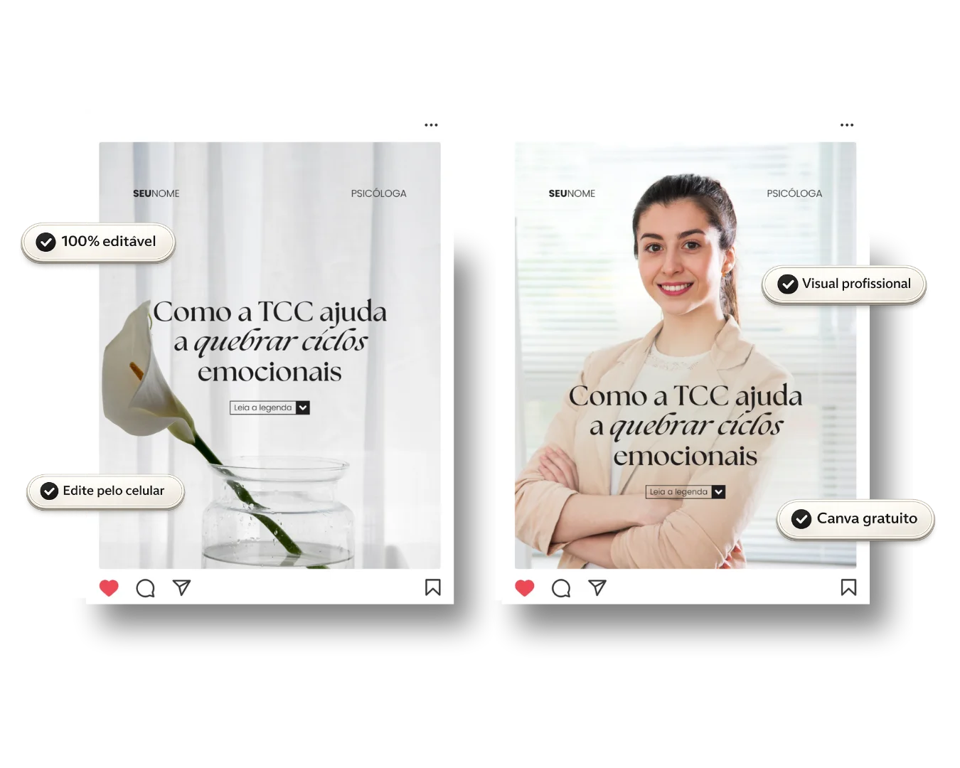 Pack de feed